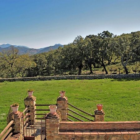 Lovely Home In Cortes De La Frontera With Kitchen Eksteriør bilde